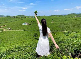 Khám phá chuyến du lịch hè Mộc Châu tự túc chi phí ra sao? Khám phá chuyến du lịch hè Mộc Châu tự túc chi phí ra sao?