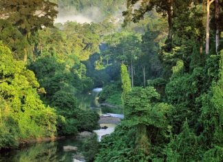 Khám phá top 9 địa điểm du lịch Brazil cực hot không thể bỏ qua Khám phá top 9 địa điểm du lịch Brazil cực hot không thể bỏ qua